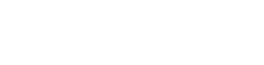 Comapany Logo